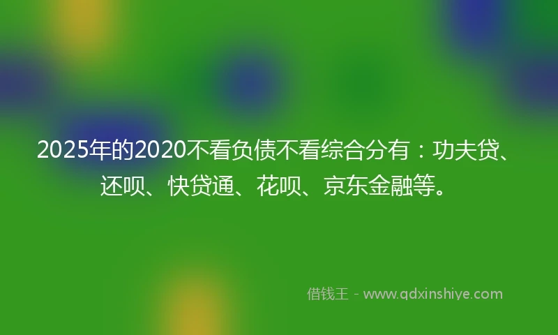2025年的2020不看负债不看综合分有：功夫贷、还呗、快贷通、花呗、京东金融等。