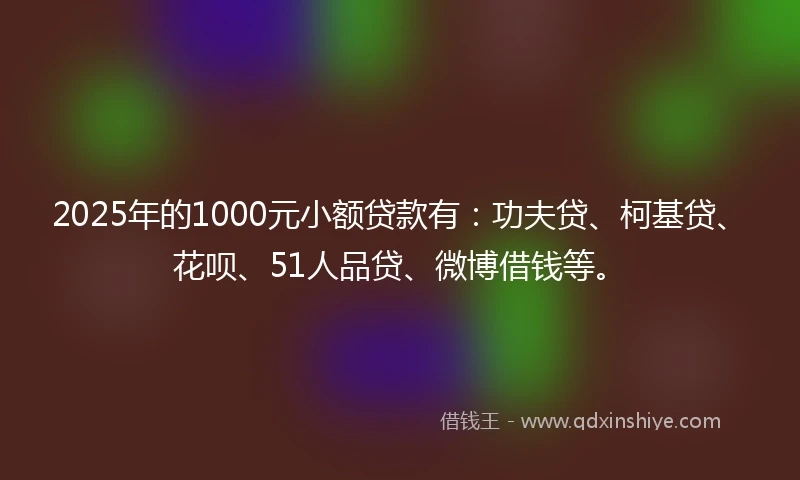 2025年的1000元小额贷款有：功夫贷、柯基贷、花呗、51人品贷、微博借钱等。