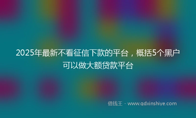 2025年最新不看征信下款的平台，概括5个黑户可以做大额贷款平台