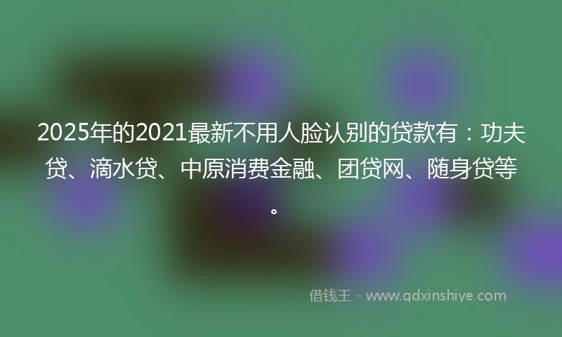 2025年的2021最新不用人脸认别的贷款有：功夫贷、滴水贷、中原消费金融、团贷网、随身贷等。