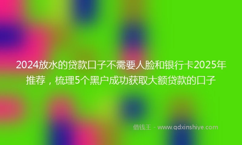2024放水的贷款口子不需要人脸和银行卡2025年推荐，梳理5个黑户成功获取大额贷款的口子