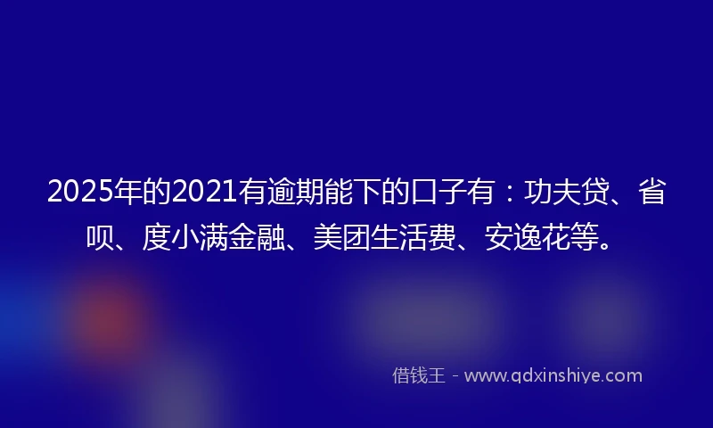 2025年的2021有逾期能下的口子有：功夫贷、省呗、度小满金融、美团生活费、安逸花等。
