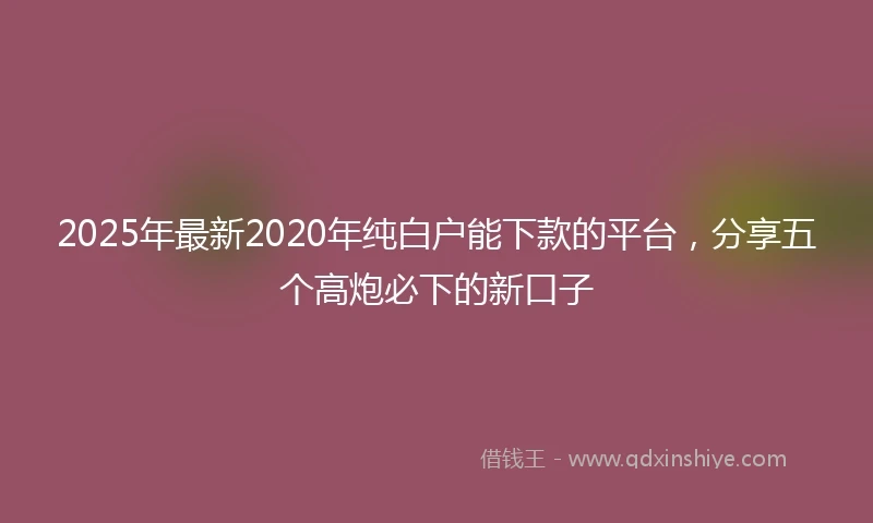 2025年最新2020年纯白户能下款的平台，分享五个高炮必下的新口子