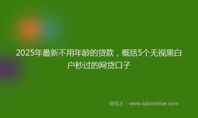 2025年最新不用年龄的贷款，概括5个无视黑白户秒过的网贷口子