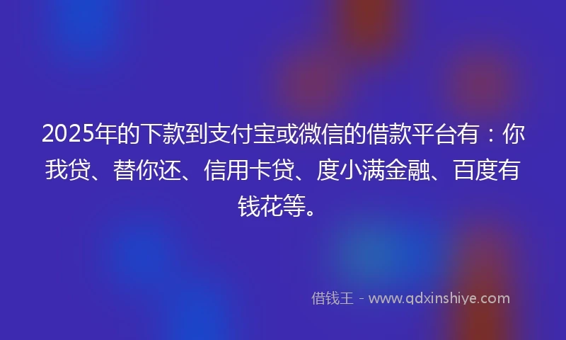 2025年的下款到支付宝或微信的借款平台有：你我贷、替你还、信用卡贷、度小满金融、百度有钱花等。
