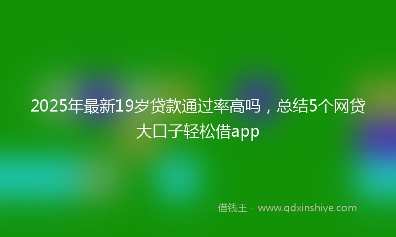 2025年最新19岁贷款通过率高吗，总结5个网贷大口子轻松借app