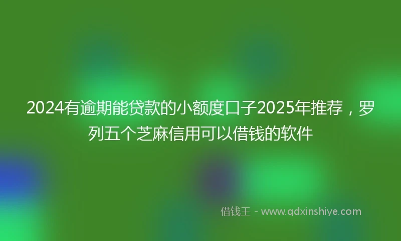 2024有逾期能贷款的小额度口子2025年推荐，罗列五个芝麻信用可以借钱的软件