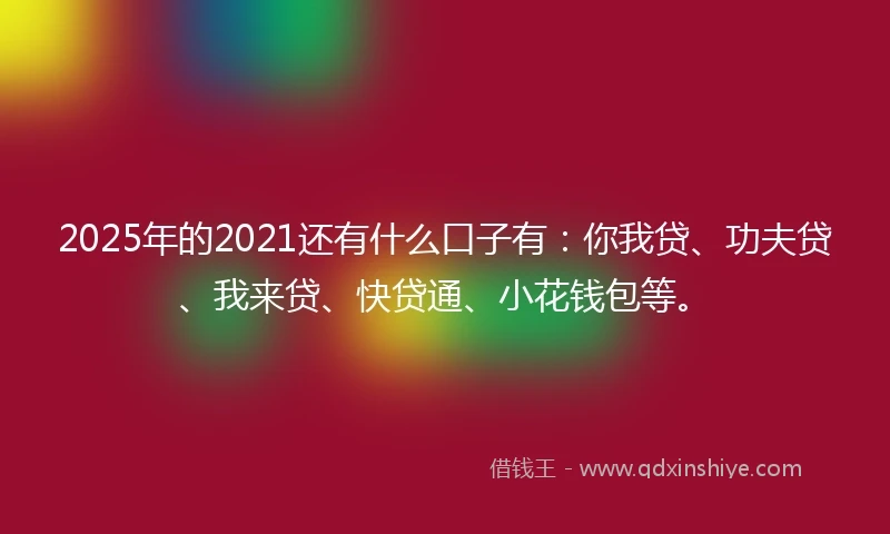 2025年的2021还有什么口子有：你我贷、功夫贷、我来贷、快贷通、小花钱包等。