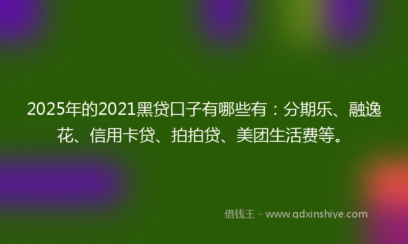 2025年的2021黑贷口子有哪些有：分期乐、融逸花、信用卡贷、拍拍贷、美团生活费等。