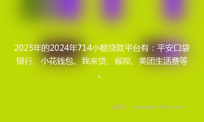 2025年的2024年714小额贷款平台有：平安口袋银行、小花钱包、我来贷、省呗、美团生活费等。
