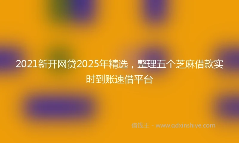 2021新开网贷2025年精选，整理五个芝麻借款实时到账速借平台