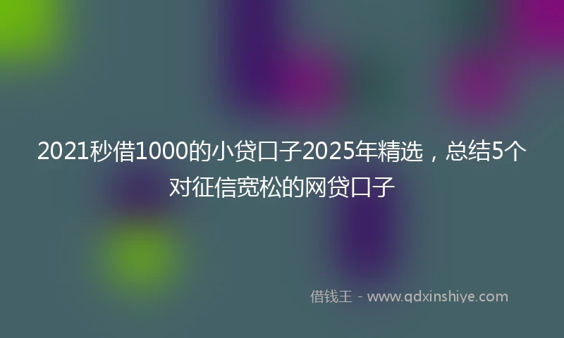 2021秒借1000的小贷口子2025年精选，总结5个对征信宽松的网贷口子