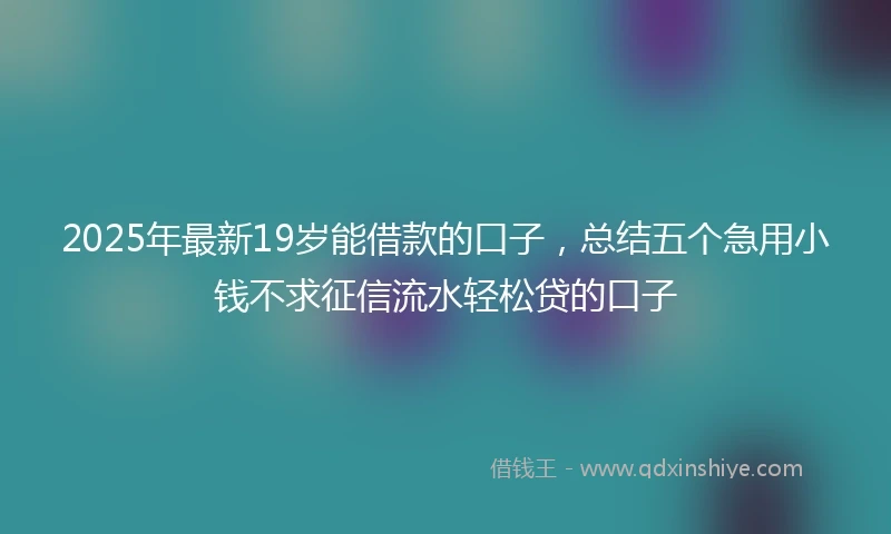 2025年最新19岁能借款的口子，总结五个急用小钱不求征信流水轻松贷的口子