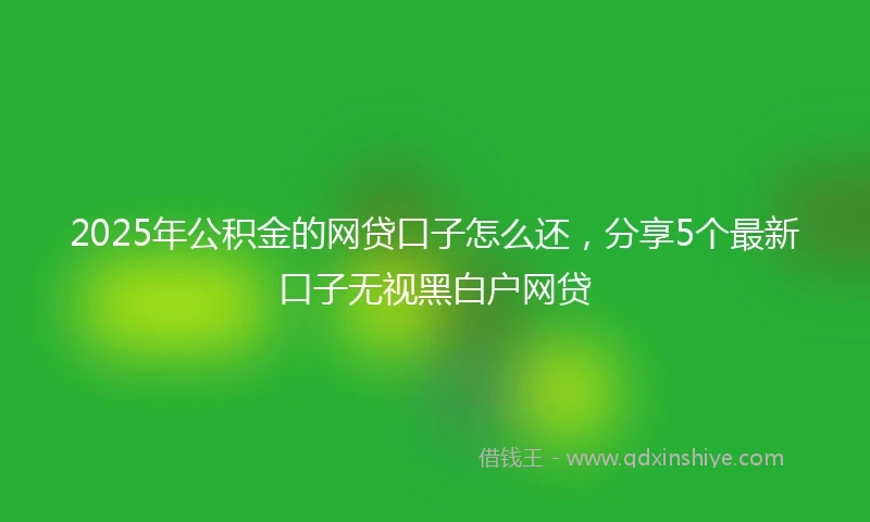 2025年公积金的网贷口子怎么还，分享5个最新口子无视黑白户网贷