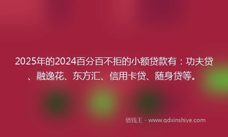 2025年的2024百分百不拒的小额贷款有：功夫贷、融逸花、东方汇、信用卡贷、随身贷等。