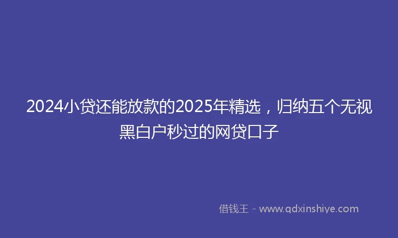 2024小贷还能放款的2025年精选，归纳五个无视黑白户秒过的网贷口子