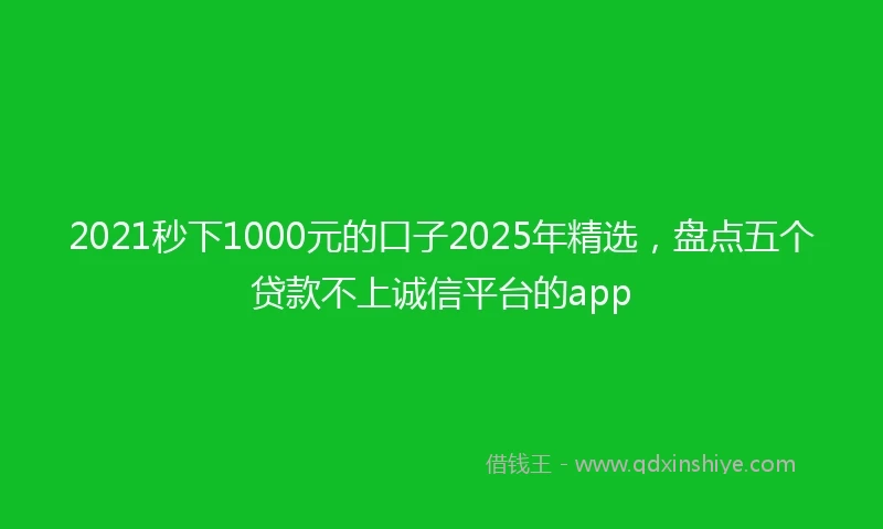 2021秒下1000元的口子2025年精选，盘点五个贷款不上诚信平台的app