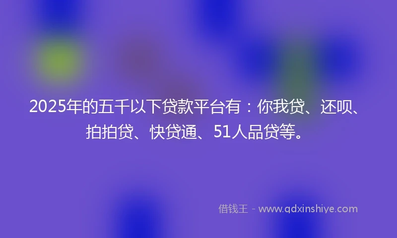 2025年的五千以下贷款平台有：你我贷、还呗、拍拍贷、快贷通、51人品贷等。