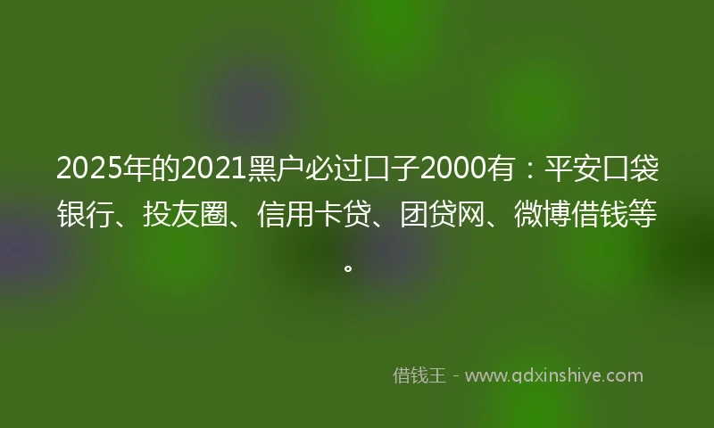2025年的2021黑户必过口子2000有：平安口袋银行、投友圈、信用卡贷、团贷网、微博借钱等。