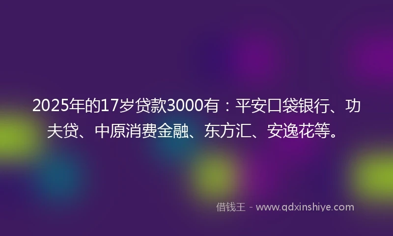 2025年的17岁贷款3000有：平安口袋银行、功夫贷、中原消费金融、东方汇、安逸花等。