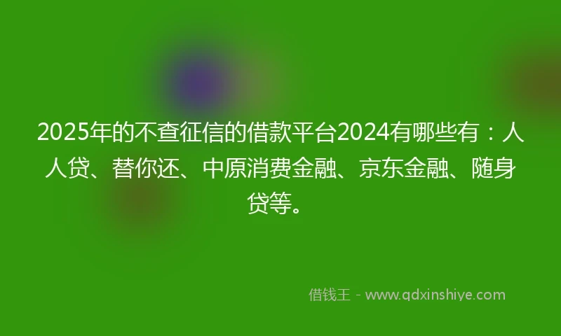 2025年的不查征信的借款平台2024有哪些有：人人贷、替你还、中原消费金融、京东金融、随身贷等。