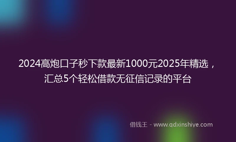 2024高炮口子秒下款最新1000元2025年精选，汇总5个轻松借款无征信记录的平台