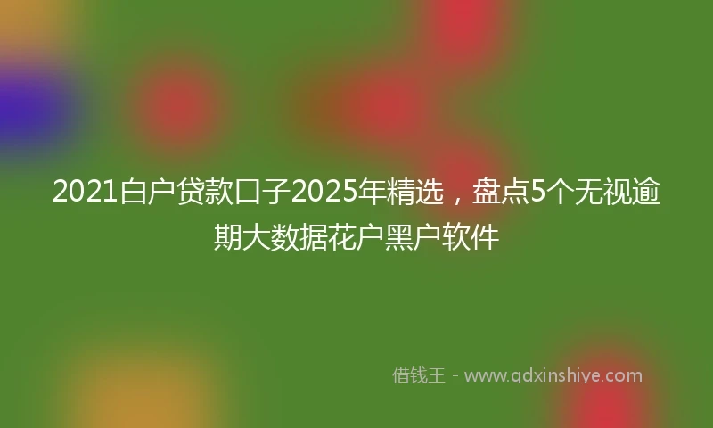 2021白户贷款口子2025年精选，盘点5个无视逾期大数据花户黑户软件