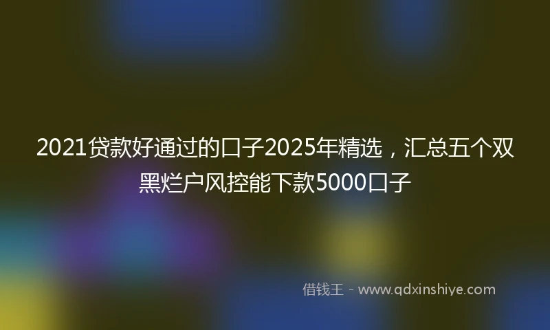 2021贷款好通过的口子2025年精选，汇总五个双黑烂户风控能下款5000口子
