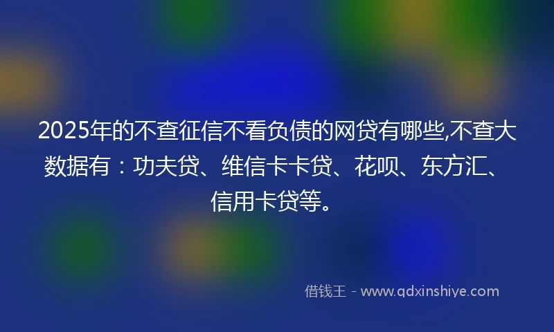 2025年的不查征信不看负债的网贷有哪些,不查大数据有：功夫贷、维信卡卡贷、花呗、东方汇、信用卡贷等。