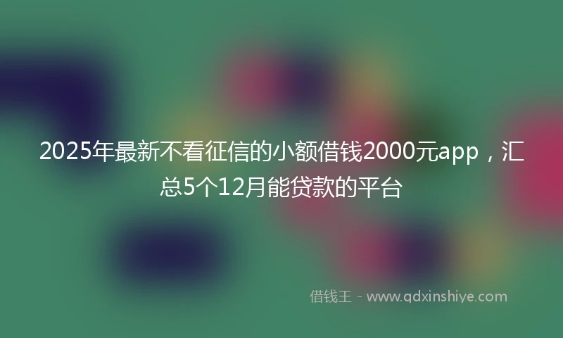 2025年最新不看征信的小额借钱2000元app，汇总5个12月能贷款的平台