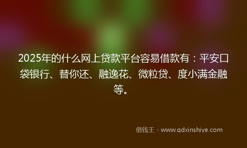 2025年的什么网上贷款平台容易借款有：平安口袋银行、替你还、融逸花、微粒贷、度小满金融等。