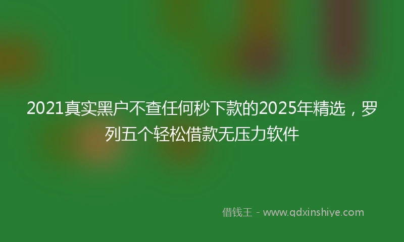 2021真实黑户不查任何秒下款的2025年精选，罗列五个轻松借款无压力软件