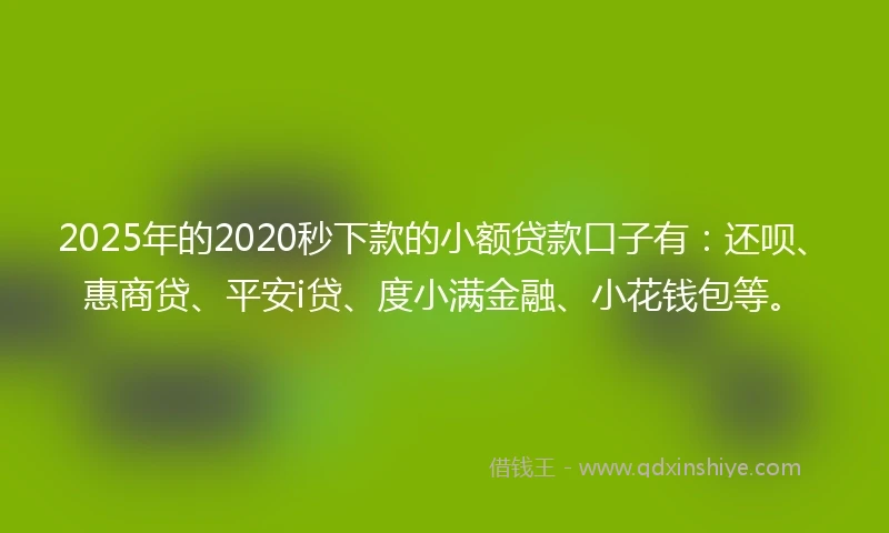 2025年的2020秒下款的小额贷款口子有：还呗、惠商贷、平安i贷、度小满金融、小花钱包等。