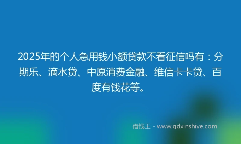 2025年的个人急用钱小额贷款不看征信吗有：分期乐、滴水贷、中原消费金融、维信卡卡贷、百度有钱花等。