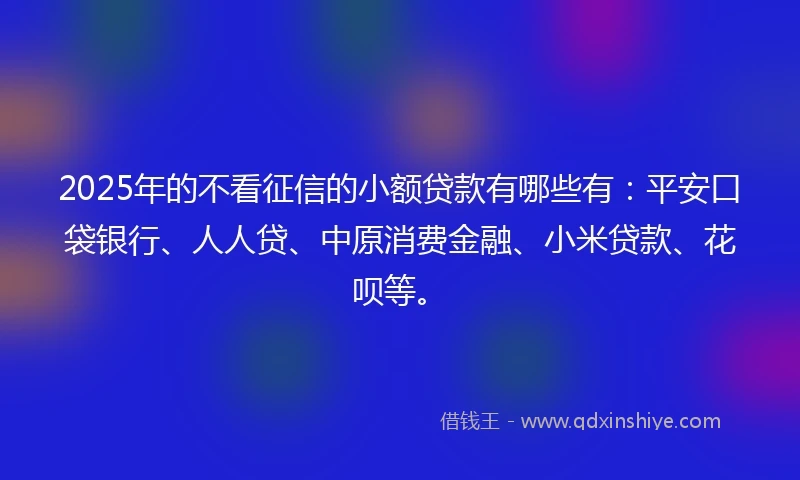 2025年的不看征信的小额贷款有哪些有：平安口袋银行、人人贷、中原消费金融、小米贷款、花呗等。