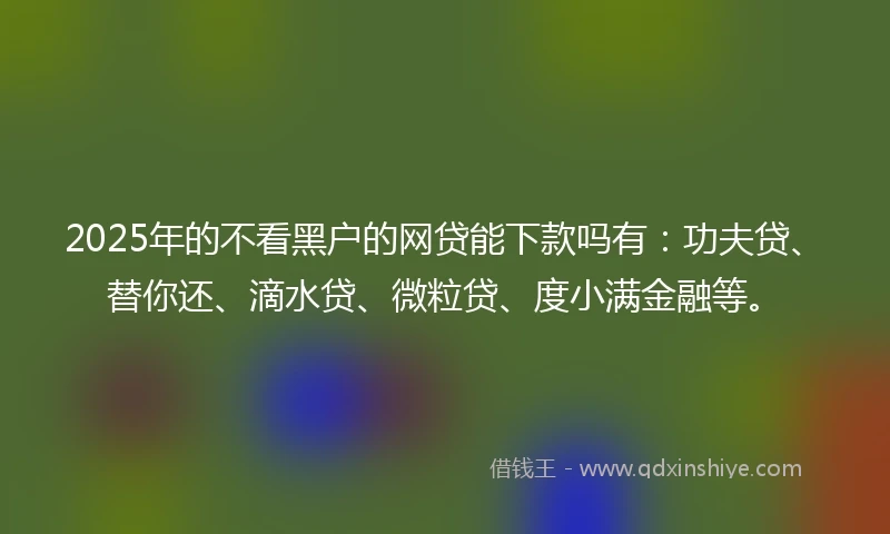 2025年的不看黑户的网贷能下款吗有：功夫贷、替你还、滴水贷、微粒贷、度小满金融等。