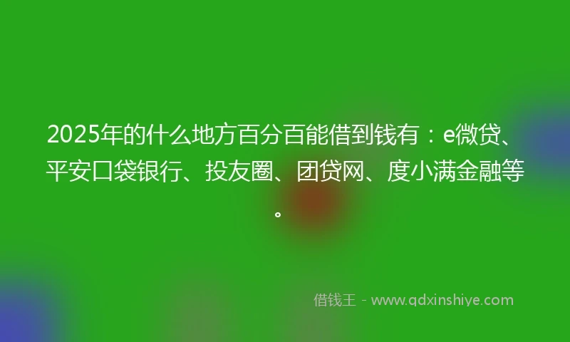 2025年的什么地方百分百能借到钱有：e微贷、平安口袋银行、投友圈、团贷网、度小满金融等。