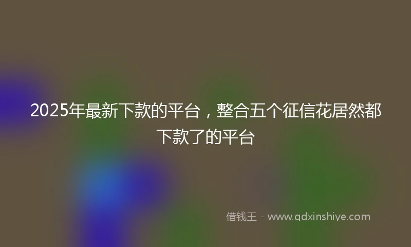 2025年最新下款的平台，整合五个征信花居然都下款了的平台