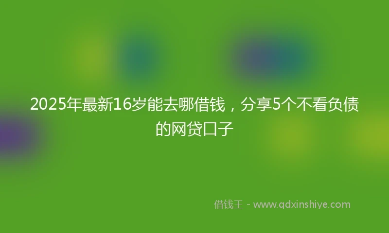 2025年最新16岁能去哪借钱，分享5个不看负债的网贷口子