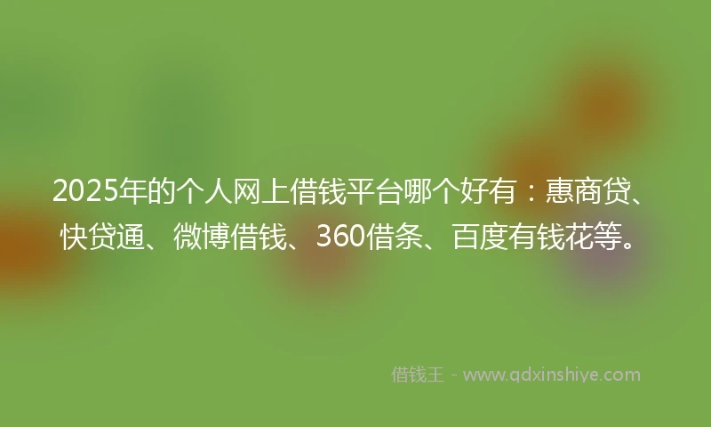 2025年的个人网上借钱平台哪个好有：惠商贷、快贷通、微博借钱、360借条、百度有钱花等。