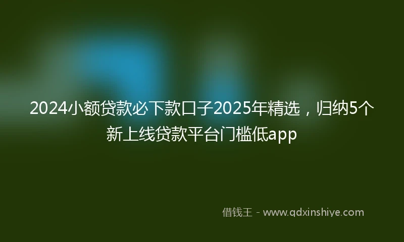 2024小额贷款必下款口子2025年精选，归纳5个新上线贷款平台门槛低app