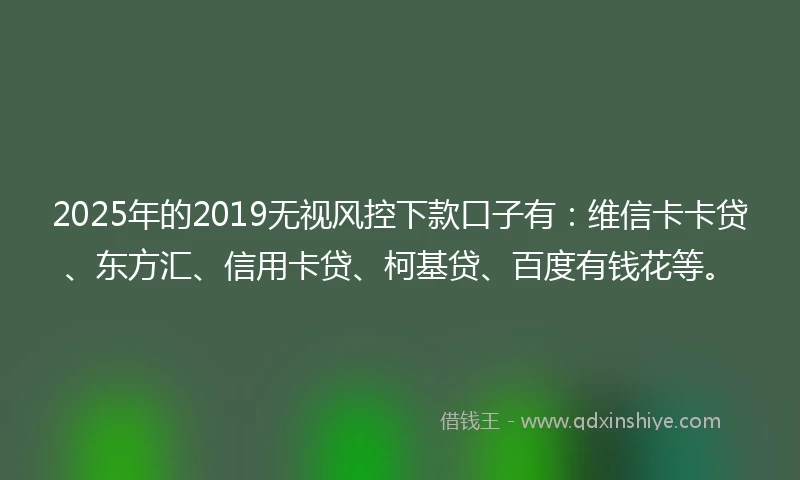 2025年的2019无视风控下款口子有：维信卡卡贷、东方汇、信用卡贷、柯基贷、百度有钱花等。