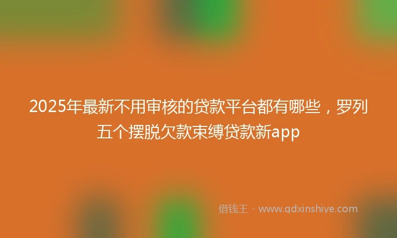 2025年最新不用审核的贷款平台都有哪些，罗列五个摆脱欠款束缚贷款新app
