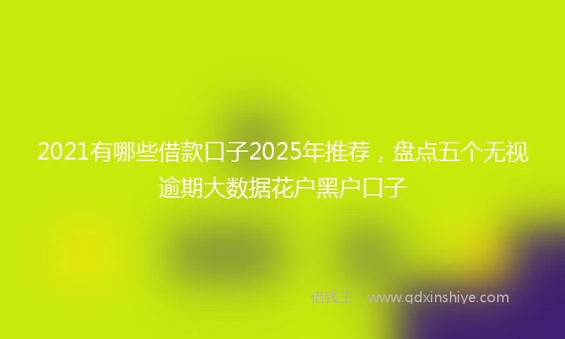2021有哪些借款口子2025年推荐，盘点五个无视逾期大数据花户黑户口子