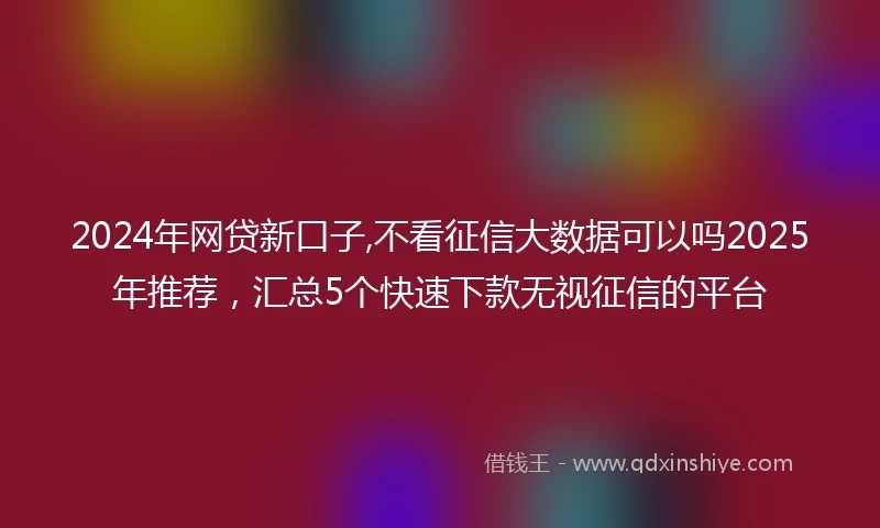 2024年网贷新口子,不看征信大数据可以吗2025年推荐，汇总5个快速下款无视征信的平台