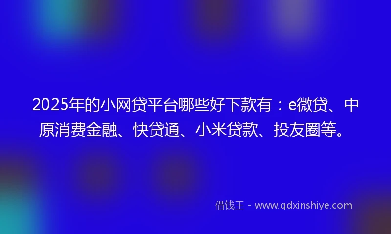 2025年的小网贷平台哪些好下款有：e微贷、中原消费金融、快贷通、小米贷款、投友圈等。
