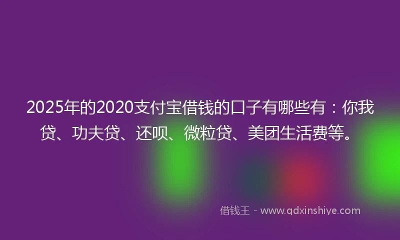 2025年的2020支付宝借钱的口子有哪些有：你我贷、功夫贷、还呗、微粒贷、美团生活费等。