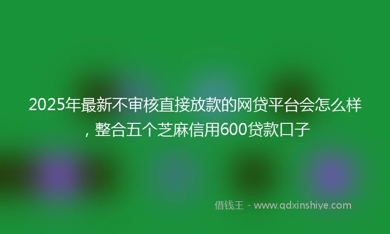 2025年最新不审核直接放款的网贷平台会怎么样，整合五个芝麻信用600贷款口子