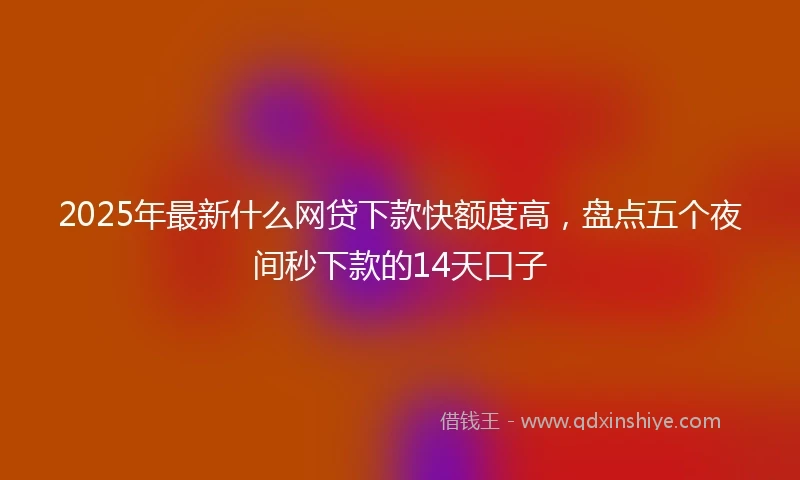 2025年最新什么网贷下款快额度高，盘点五个夜间秒下款的14天口子
