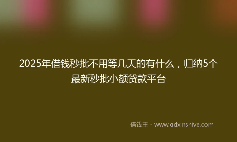 2025年借钱秒批不用等几天的有什么，归纳5个最新秒批小额贷款平台